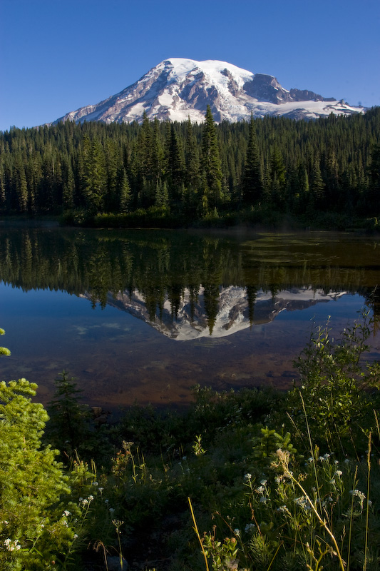 Mount Rainier Reflected In Reflection Lake